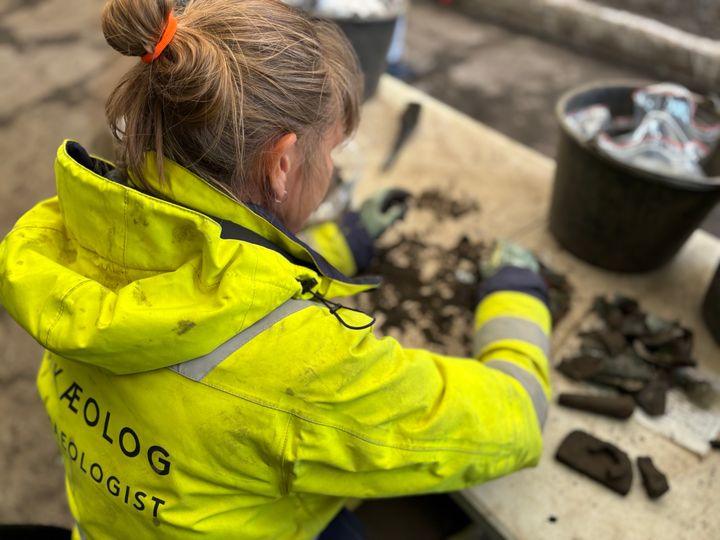 Jord fra Amaliegade-udgravningen undersøges på Amager.