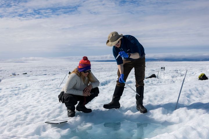 Ph.d.-studerende Ata Jaarsma står på indlandsisen i Grønland og tager prøver med hjælp fra sin kollega Katie Sipes. Sammen med en række kolleger rejste han ud på isen for at studere det mikroskopiske liv. Og det har han nu vundet en pris for.