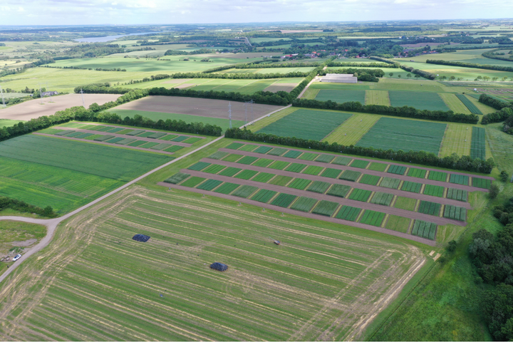 Forsøgsmarkerne ved Foulum er en del af Aarhus Universitet, hvor noget af den forskning, som forbereder the Soil Monitoring Law, finder sted.