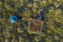 Indsamling af data om plantebiodiversitet på tundraplanter ved hjælp af punktindramning på Qikiqtaruk, også kendt øen Herschel, i det canadiske Arktis.