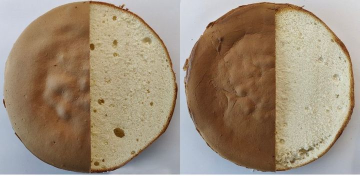 Kage bagt med 100% æg (til venstre) og kage bagt med 50% af æggene erstattet med kikærteprotein (til højre).