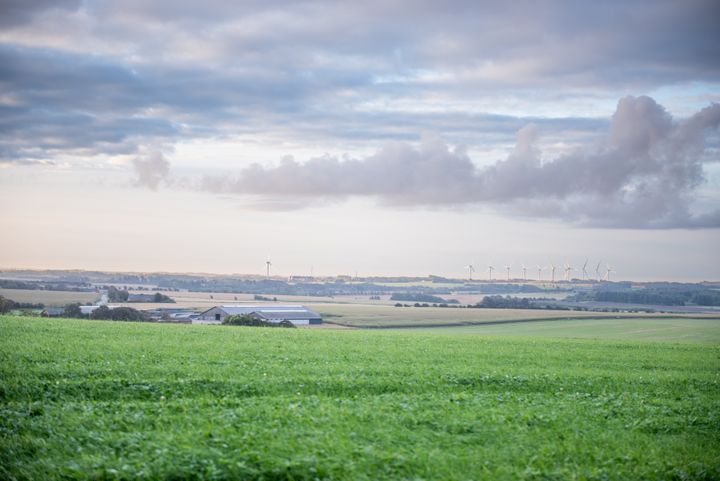 En grøn mark i forgrunden med vindmøller i det fjerne under en overskyet himmel.