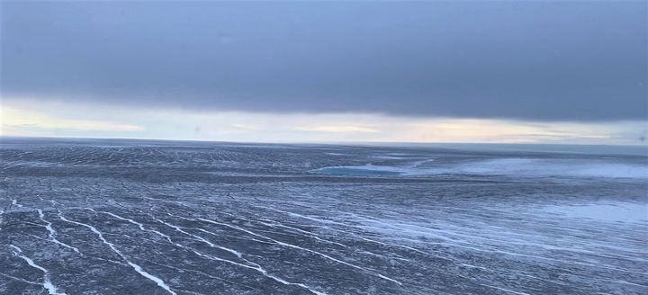 Dark zone er et stort område på mere end 100.000 km² langs den vestlige kant af Grønlands indlandsis. Isens mørke farve skyldes blandt andet mikroalger, som får deres næring fra smelteprocessen.