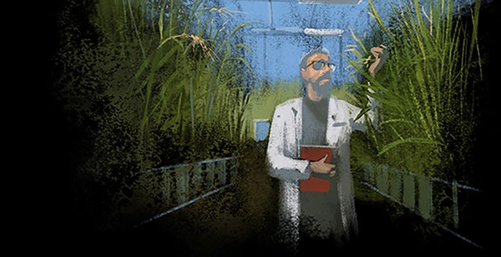 En animeret person i laboratoriefrakke står blandt høje planter og holder en notesbog.