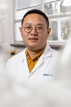 Lektor Zongsu Wei, Aarhus Universitet