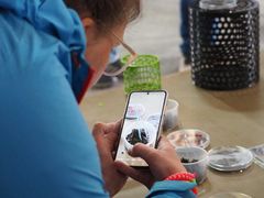 En del af projektet undersøger biokuls effekt på livet i jorden.