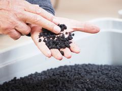 Deltagerne kunne i løbet af dagen besøge fire forskellige stationer, hvor de blandt andet kunne få lov til at se og røre de forskellige typer biokul, der indgår i langtidsforsøgene.