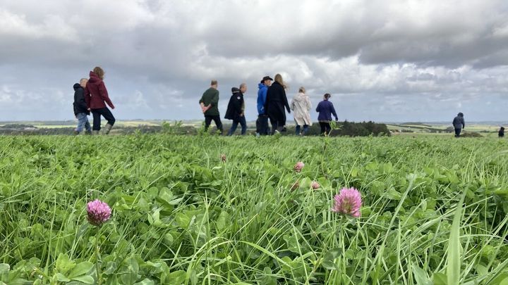 Brak, busk, krat eller insektvold? Der er mange muligheder for at øge biodiversiteten i landbrugslandet.