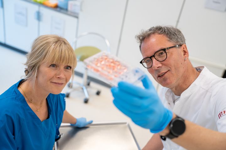 Læge Sidsel Støy og lektor og Ph.d. Thomas Lykke-Møller Sørensen med en af de vævsprøver, som kan blive til en mini-tarm.