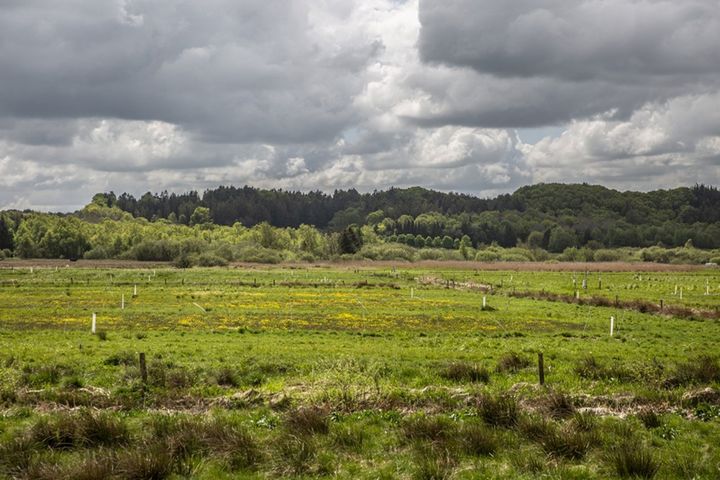 Nørreådalen landskab med marker, skov og skyer.
