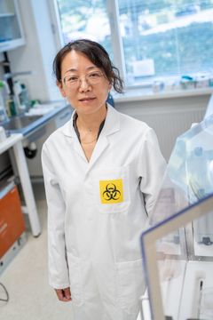 Lektor Menglin Chen fra Institut for Bio- og Kemiteknologi ved Aarhus Universitet leder forskningen i de lysfølsomme nanopartikler. Projektet begyndte for syv år siden med en idé om mikroskopiske ”solceller”, der kunne kommunikere med levende celler ved hjælp af lys. I dag arbejder forskerne på at udvikle teknologien som en mulig fremtidig nethindeprotese.