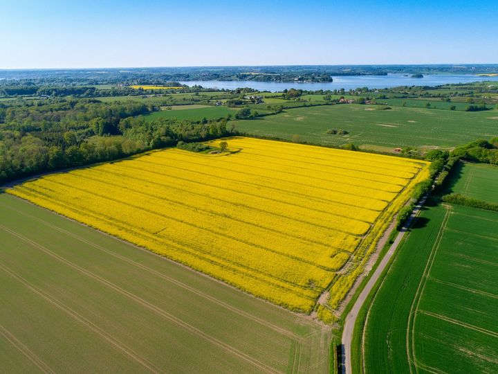 New European study involving 114 regulatory professionals from 25 countries highlights concerns about the growing complexity of EU pesticide risk assessments.