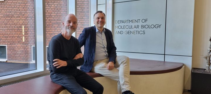 Torben Heick Jensen, Institut for Molekylærbiologi og Genetik, og Ebbe Sloth Andersen, Interdisciplinary Nanoscience Center - Institut for Molekylærbiologi og Genetik.