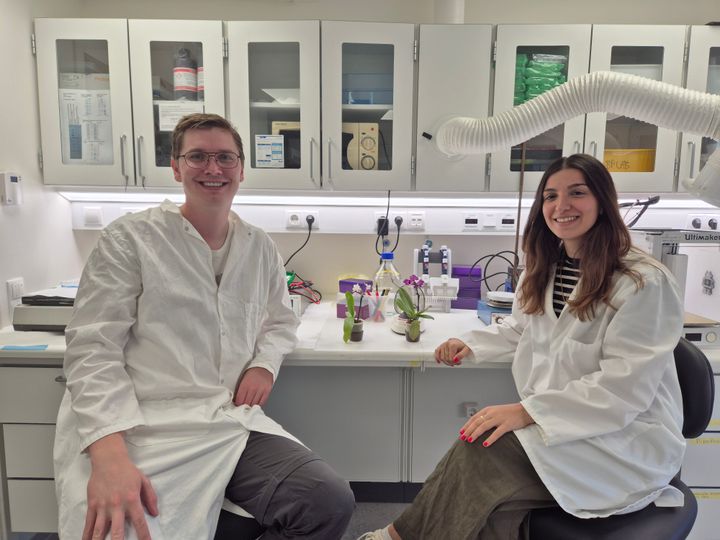 Bjørn Lildal Amsinck sammen med kollegaen Ines Benhammouche i laboratoriet på Institut for Molekylærbiologi og Genetik, Aarhus Universitet. Hun har været en del af det forskerhold, der har knækket koden til, hvordan auxin transporteres i planter.