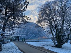 Væksthusene i sne november 2022. Alle billeder kan frit bruges til redaktionel omtale af Væksthusene. Credit: Science Museerne, Aarhus Universitet