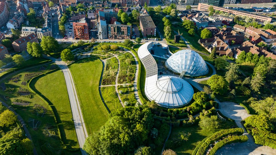 smag-p-eksotiske-planter-i-v-ksthusene-aarhus-universitet-science
