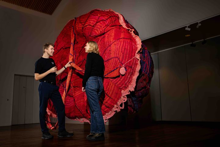 Blandt udstillingens mest markante installationer er verdens største strikkede moderkage af den australske kunstner Rebecca Vandyk-Hamilton. Den er samskabt med både australske og aarhusianske strikkere.