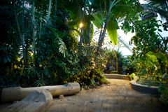 I Væksthusene kan man gå på opdagelse blandt eksotiske planter Foto: Ida Marie Jensen, AU Foto, Aarhus Universitet