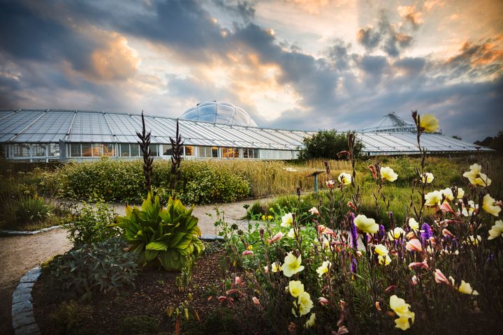 Til Naturens Døgn kan hele familien gå på opdagelse og være med til spændende og gratis aktiviteter. Foto: Maria Randima, AU Foto , Aarhus Universitet
