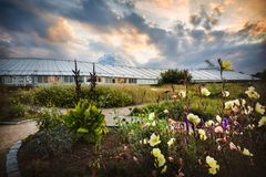 Der er fokus på naturen til Naturens Døgn - Vild med naturen. Foto: Maria Randima, AU Foto, Aarhus Univerisitet