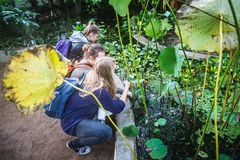 Væksthusene er et populært sted for alle fra børnefamilier og turister til skoleklasser og universitetsfolk Foto: AU Foto, Aarhus Universitet