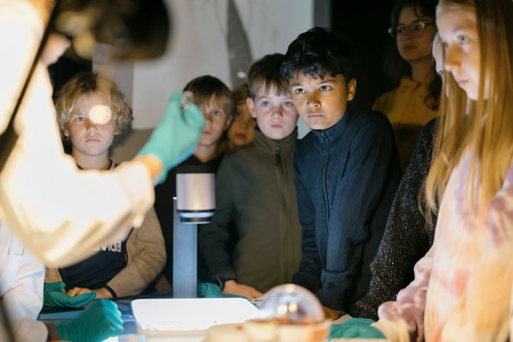 Lidt skræmmende og meget spændende. Hver dag i efterårsferien guider biologistuderende fra Aarhus Universitet børn og voksne ind i griseøjets anatomi med skalpel, kamera og fortællelyst.