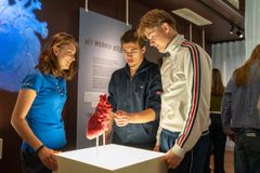 To nøjagtige kopier af henholdsvis et mande- og et kvindehjerte indgår i udstillingen. De er udformet af Simulationsenheden på Aarhus Universitetshospital.