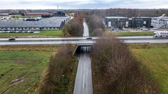 Ribevej, Hedensted - November 2023