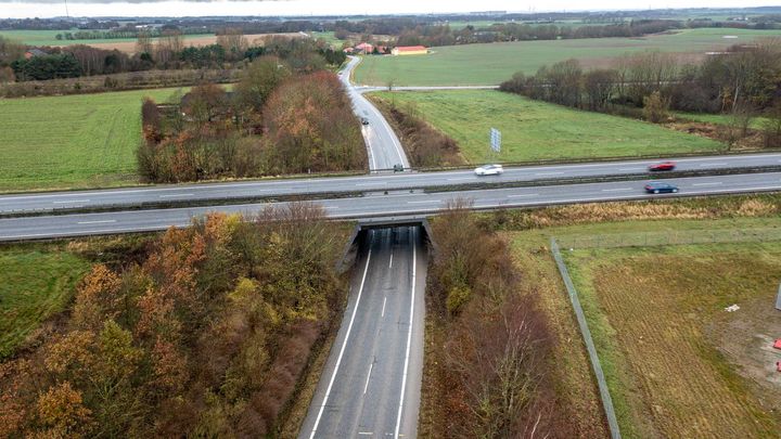 Kører du ad Vandmøllevej for at krydse motorvejen, må du fra 2. januar benytte en omkørselsrute. Foto: Vejdirektoratet