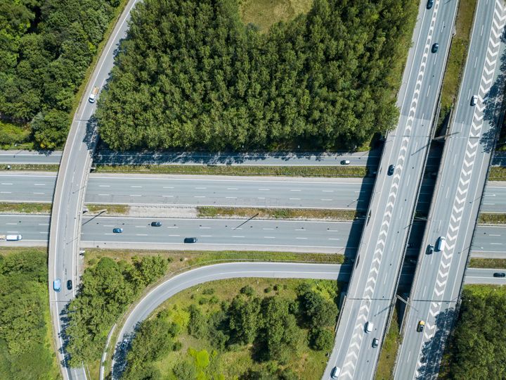 Der skal bl.a. fældes træer langs Motorring 3 og Holbækmotorvejen. Foto: Vejdirektoratet