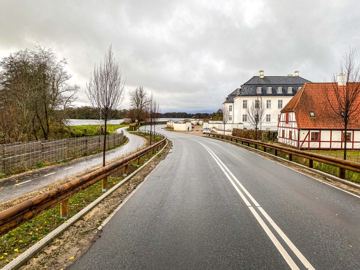 Vejdirektoratet har plantet nye lindetræer på Fåborgvej ved Hvidkilde Gods. Foto: Vejdirektoratet