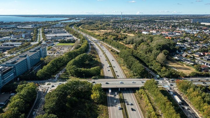 Amagermotorvejen ved Avedøre Holme. Foto: Vejdirektoratet.