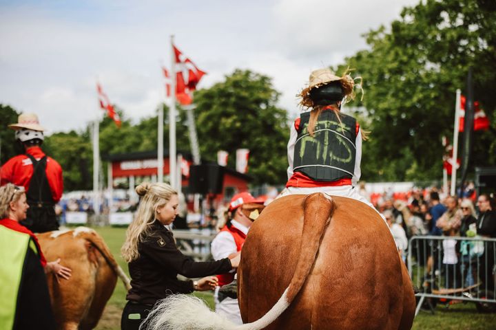 Dyrskuet foregår mellem fredag 29. maj og søndag 31. maj. Foto: Roskilde Dyrskue