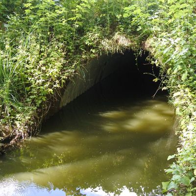 Description of the image