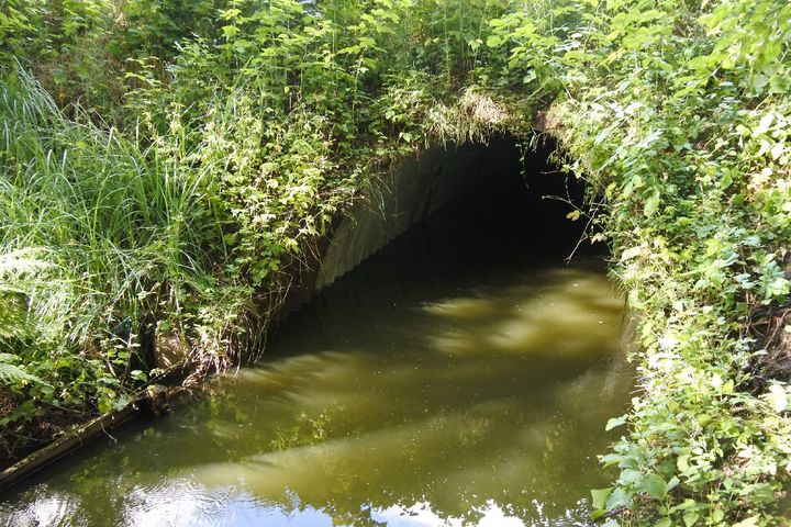 Nørremølle Å under Nordre Ringvej ved Viborg. Foto: Vejdirektoratet.