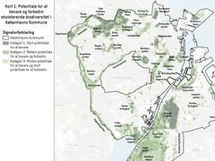 Biodiversitet fylder mere og mere i landskabsarkitekturen, og Swecos landskabsarkitekter har bl.a. kortlagt biodiversitetspotentialet på Københavns Kommunes grønne arealer.