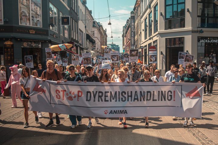 Dyrevenner marcherer gennem Strøget i København