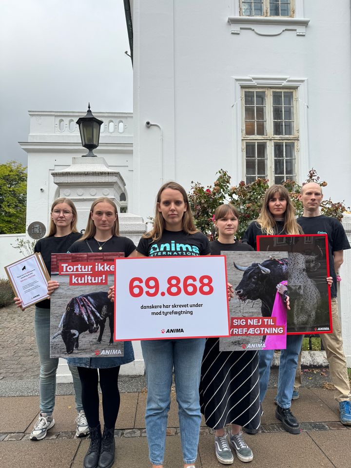 Anima foran den spanske ambassade