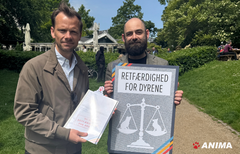 Anima talte om strafskærpelser med justitsminister Peter Hummelgaard grundlovsdag 2025.