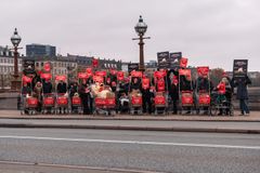 Dyreværnsorganisationen Anima protesterede søndag imod Coops salg af turbokyllinger