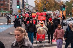 Dyreværnsorganisationen Animas march vakte opsigt i Københavns gader