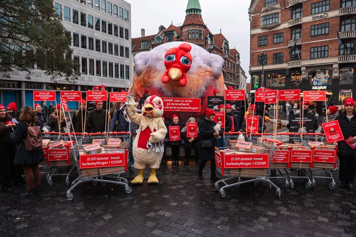 En 11 meter bred turbokylling vakte søndag opsigt på Kultorvet i København