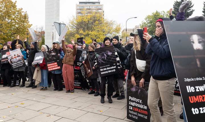 Anima jubler foran Polens parlament idet landet forbyder pelsdyravl