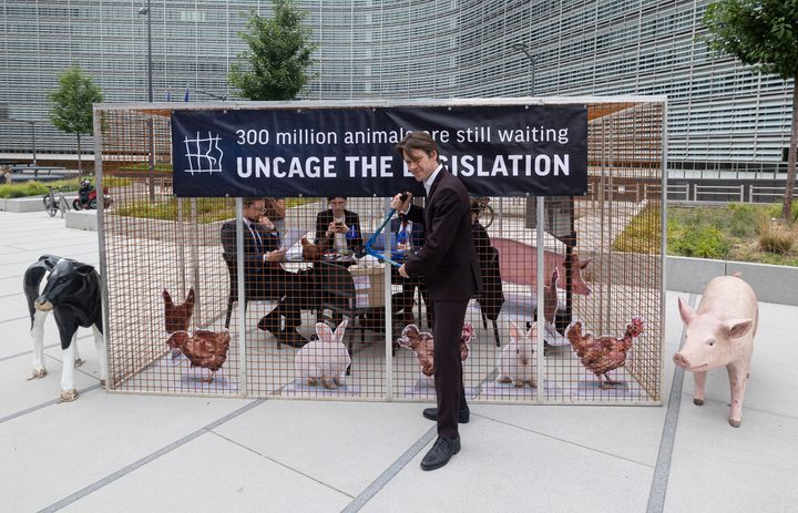 Europa-parlamentariker Niels Fuglsang (S) viste sin opbakning, da dyreværnsorganisationer i sidste uge markerede 5-års-dagen for Kommissionens løfte om en udfasning af alle bure fra landbruget. Foto: Anima International.
