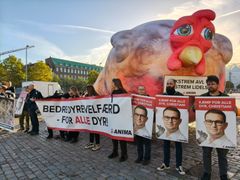 Anima med banner på Slotspladsen til Folketingets åbning