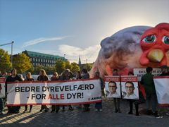 Anima med banner på Slotspladsen til Folketingets åbning