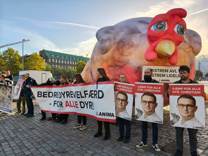 Anima til Folketingets åbning