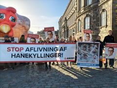 Anima med banner på Slotspladsen til Folketingets åbning