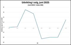 Salget steg kraftigt hos RealMæglerne i juni.