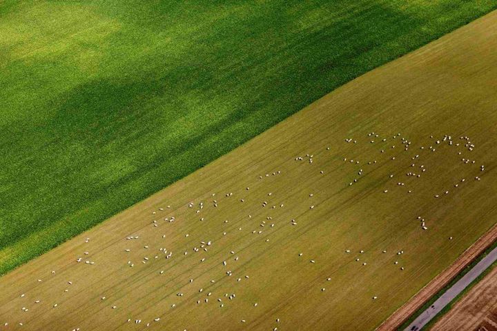 Treparterne har i 2025 primært fokuseret på kvælstofrduktioner, men efterhånden som kortmateriale bliver opdateret, er det naturlig, at tænke drikkevand ind i arbejdet.